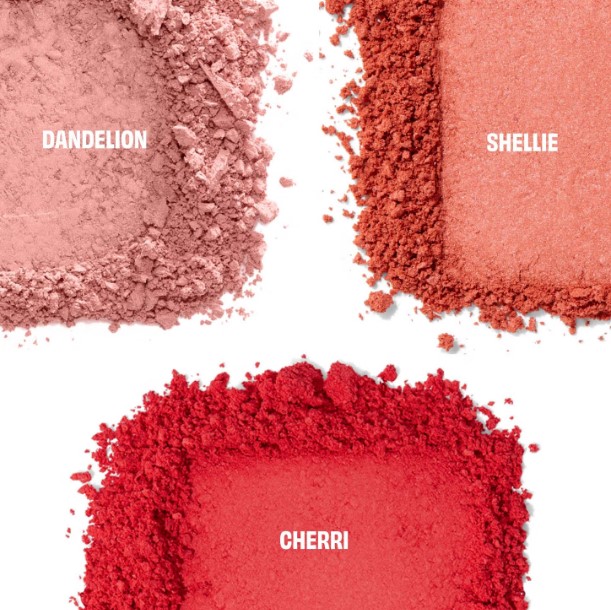 Benefit Chocolotta Blush Palette