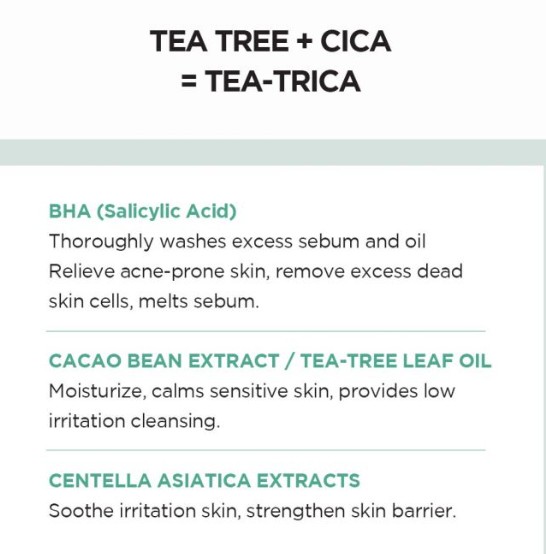 Skin1004 Madagascar Centella Tea-Trica BHA Foam